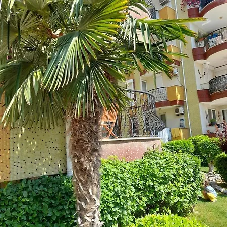 Cozy In Oba! 5 Minutes To The Sea Appartamento *